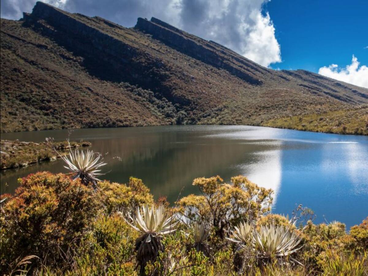 Bavaria le apuesta a la protección de páramos