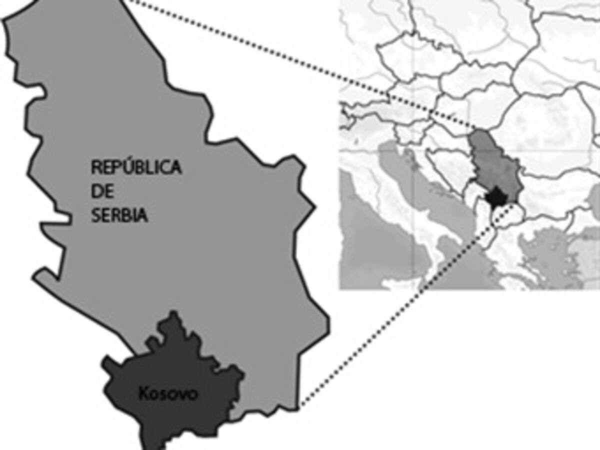 El hombre que entró en presidencia serbia con granadas fue 'desarmado'