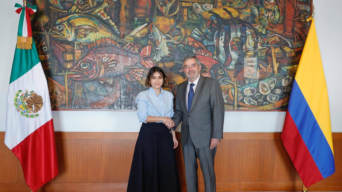 Colombia y México proponen sistema de preregistro para agilizar el ingreso y reducir inadmisiones