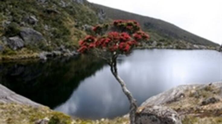 Richard Aguilar, gobernador de Santander, y debate por Santurbán