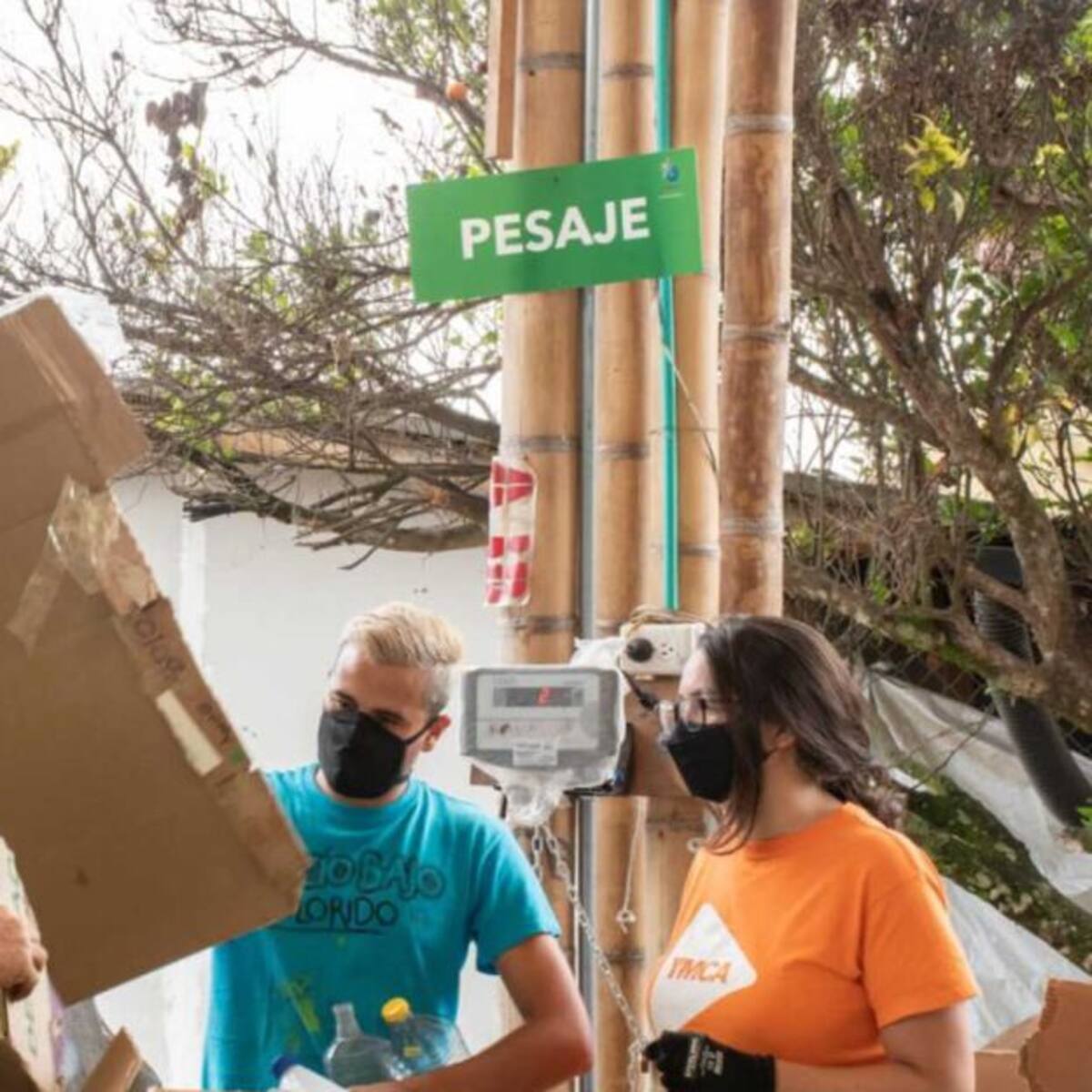 La 'Ruta verde' está recorriendo las calles de Pereira y Dosquebradas