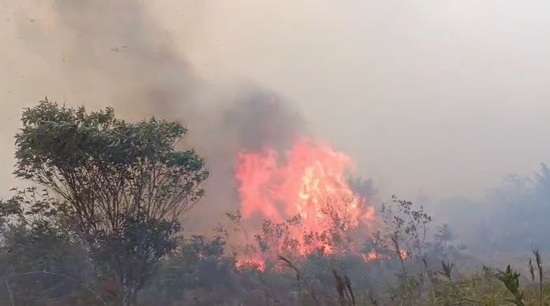 Incendio forestal en zona rural de Ocaña, Norte de Santander. / Foto: Oficina de Gestión de Riesgos de Ocaña.