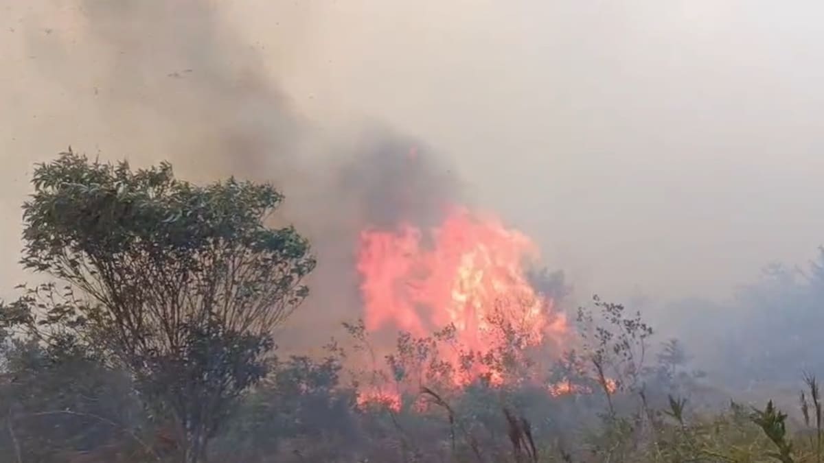 Incendio forestal en La Cabaña y El Apial: Alcaldía de Ocaña refuerza medidas de prevención