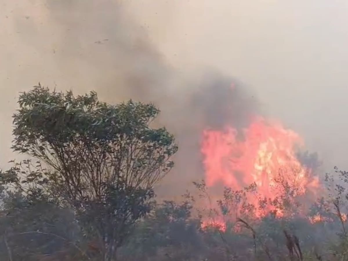 Incendio forestal en La Cabaña y El Apial: Alcaldía de Ocaña refuerza medidas de prevención