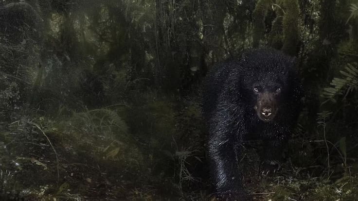 Santiago Monroy el fotógrafo colombiano reconocido por su obra “Saliendo de la Oscuridad”