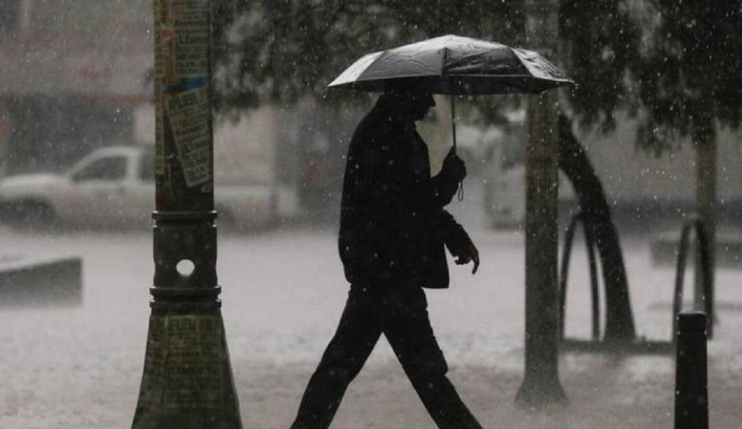 Imagen de referencia