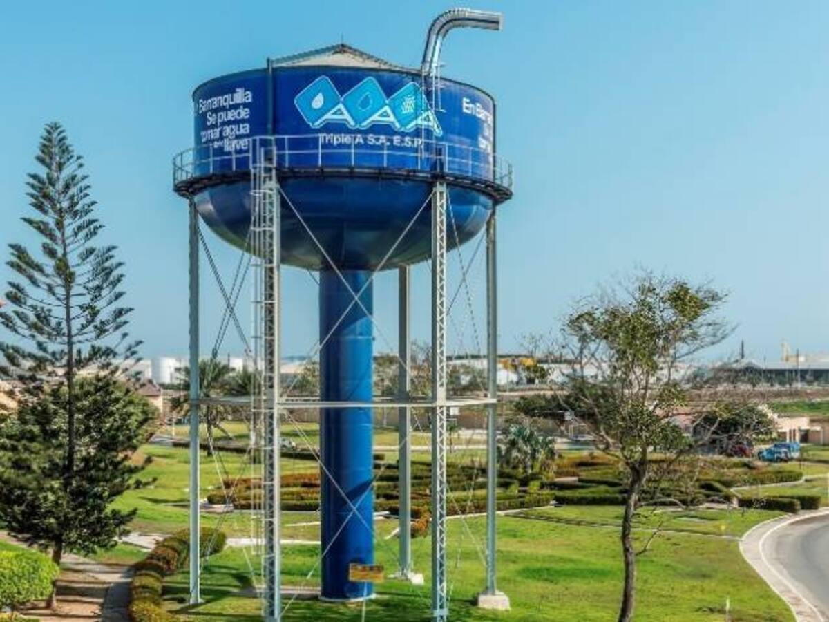 “La Triple A fue saqueada desde el año 2000”: Fiscalía