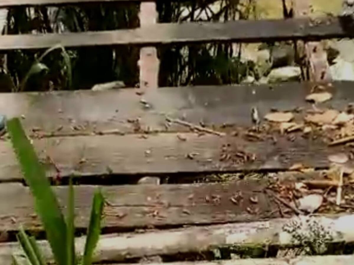 1.000 personas en riesgo por eventual colapso de puente colgante en Córdoba, Quindío