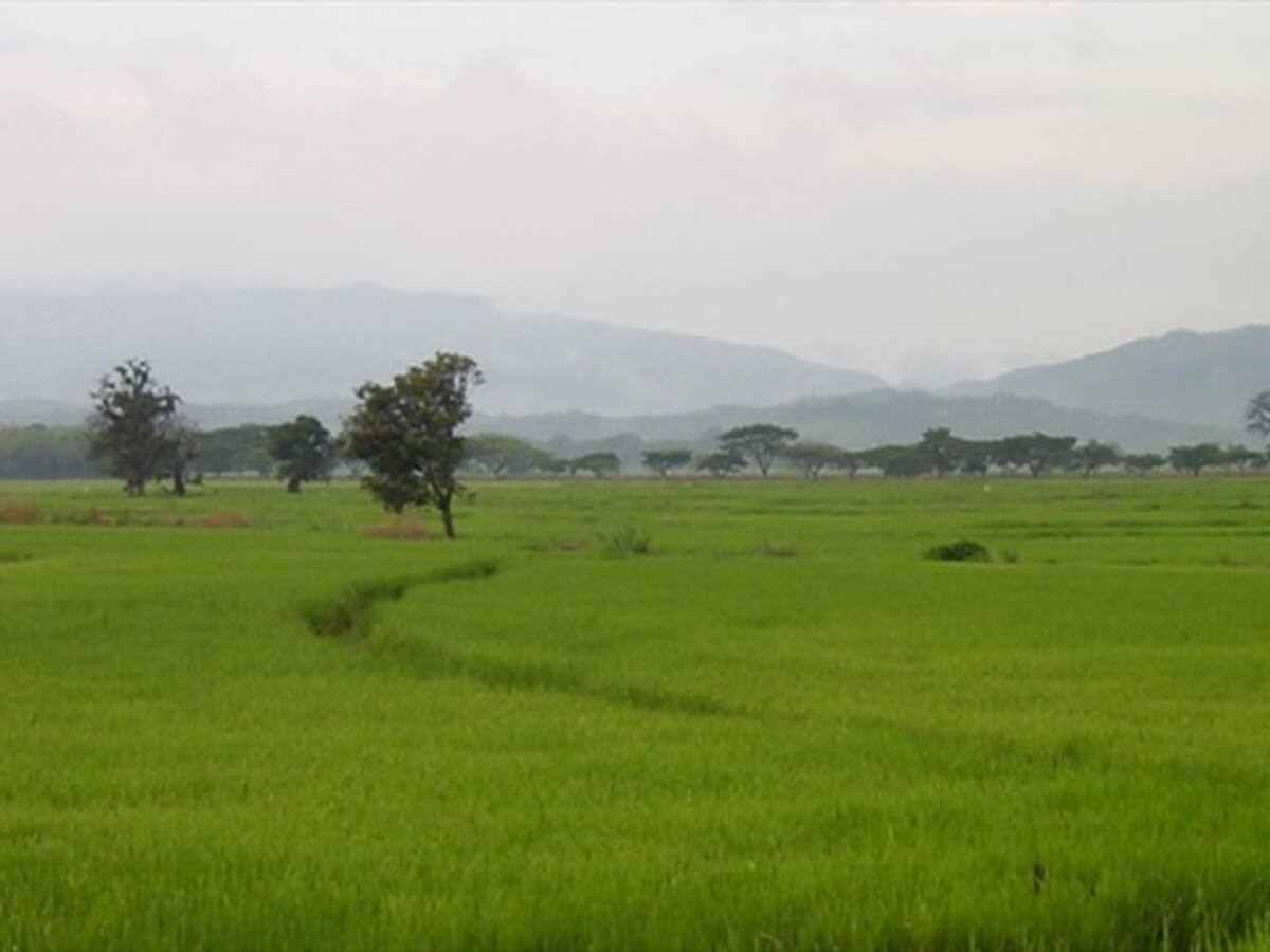 OIT asesorará a Colombia en la creación de puestos en el campo