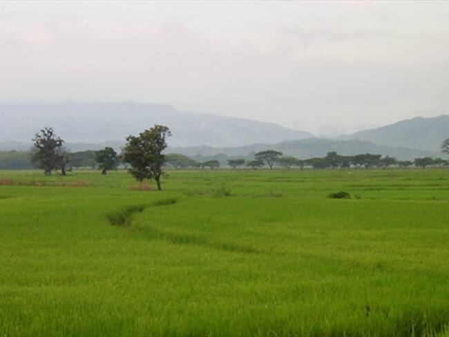 OIT asesorará a Colombia en la creación de puestos en el campo
