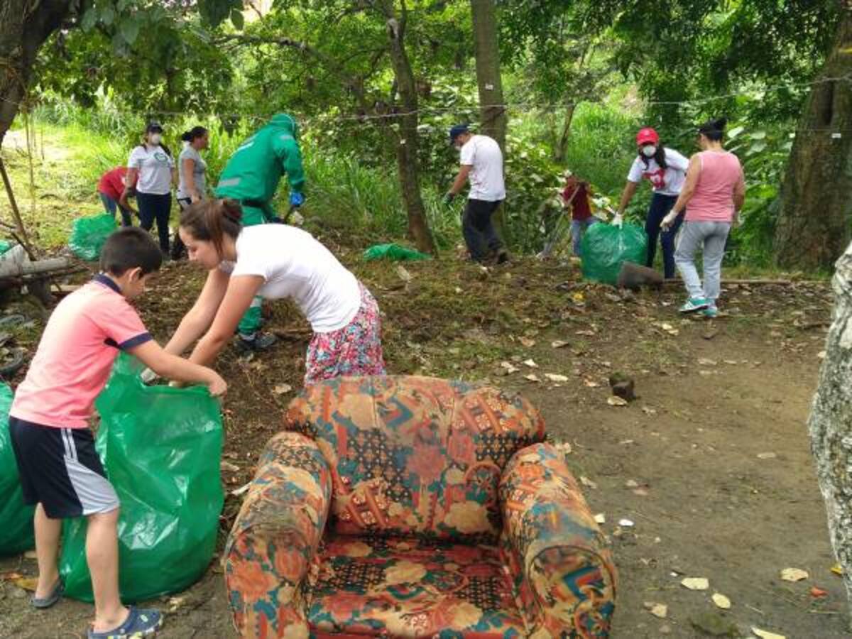 Andi lidera voluntariado empresarial en el Tolima
