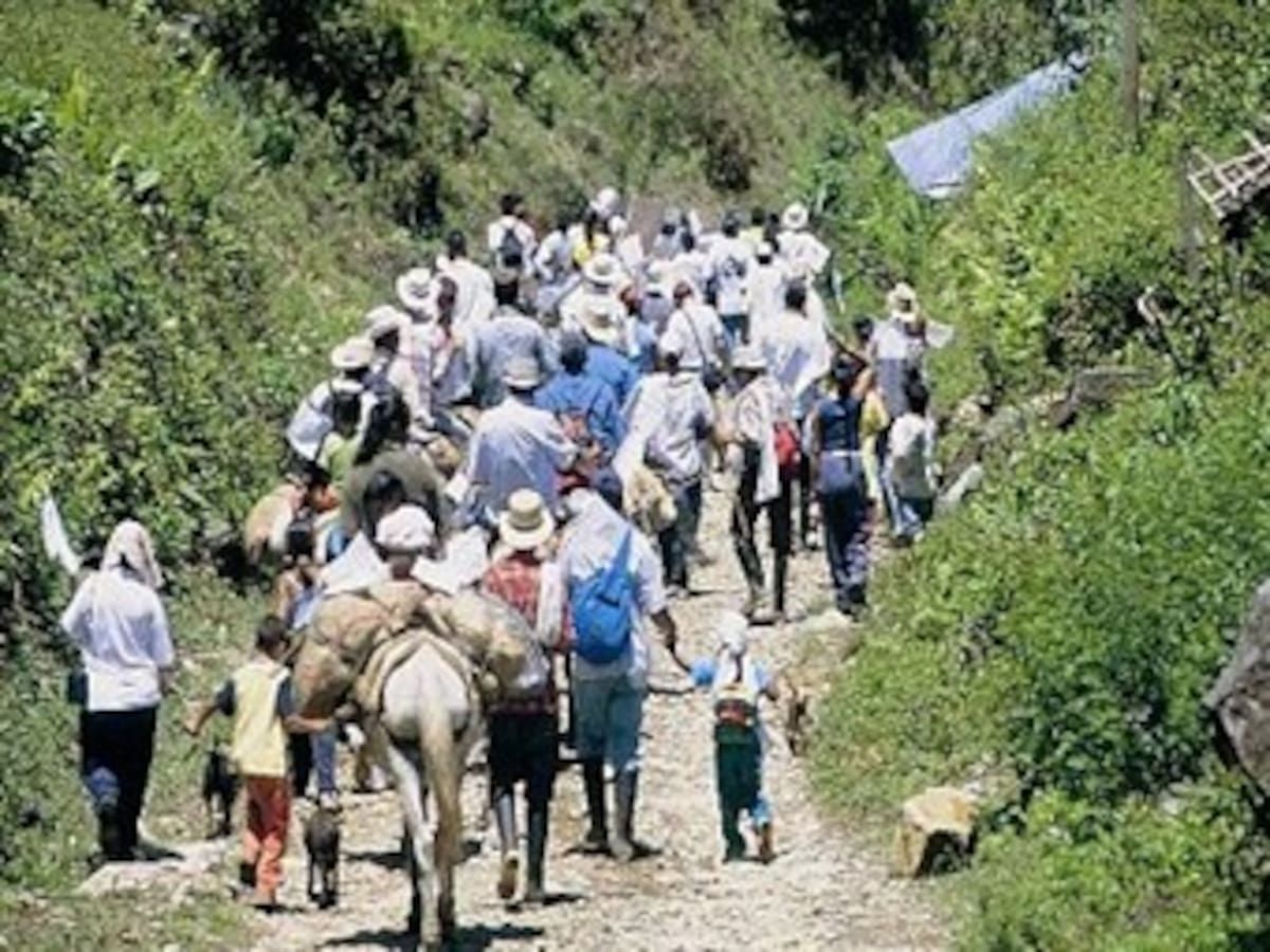 Hasta con testamentos y herencias se robaron las tierras en Montes de María