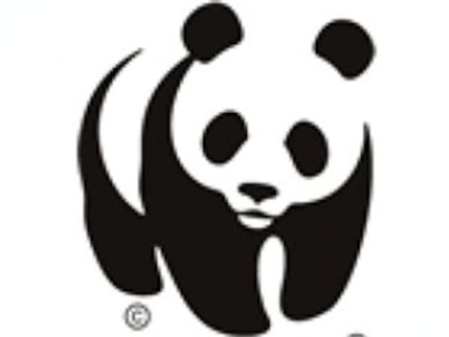 WWF, el icónico oso panda que lleva 50 años luchando por salvar el planeta
