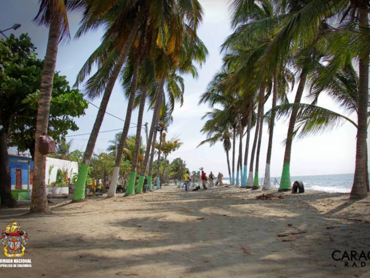 Iguanas y colibríes le dan la bienvenida al Viaje al Corazón del Caribe