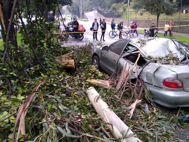 Cuatro heridos por caída de árbol y poste en el norte de Bogotá