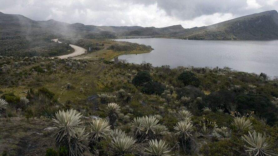 Páramo del Sumapaz. Foto: Colprensa