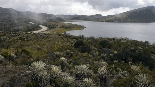 Páramo del Sumapaz. Foto: Colprensa