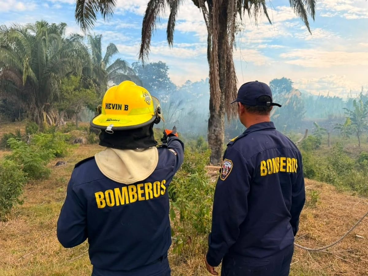 Alerta en el Tolima por cuatro incendios forestales activos en San Luis y Coello
