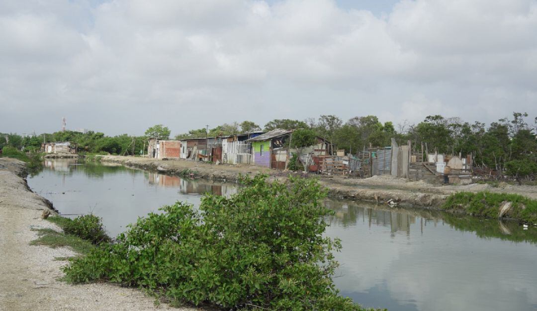 Ahora sigue la fase de conceptualización del esquema básico de este proyecto, basado en el insumo diagnóstico obtenido en las mesas.