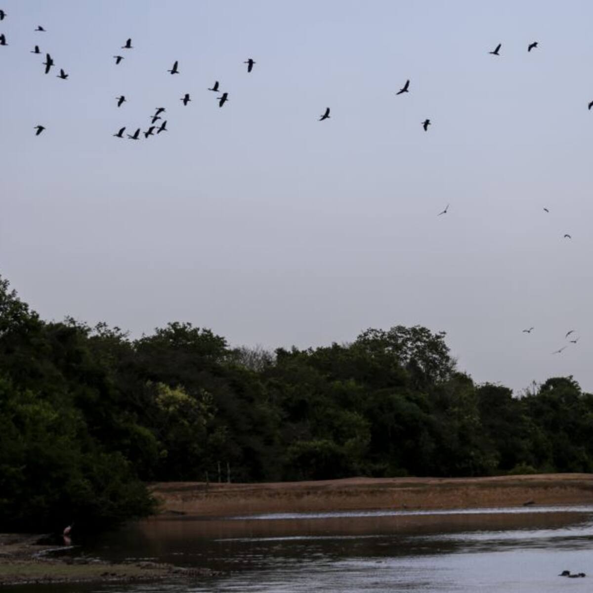 En Casanare esperan que el nuevo Gobierno sí los tenga en cuenta