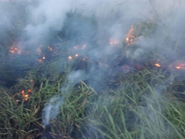 Gran incendio forestal se reporta en Los Santos