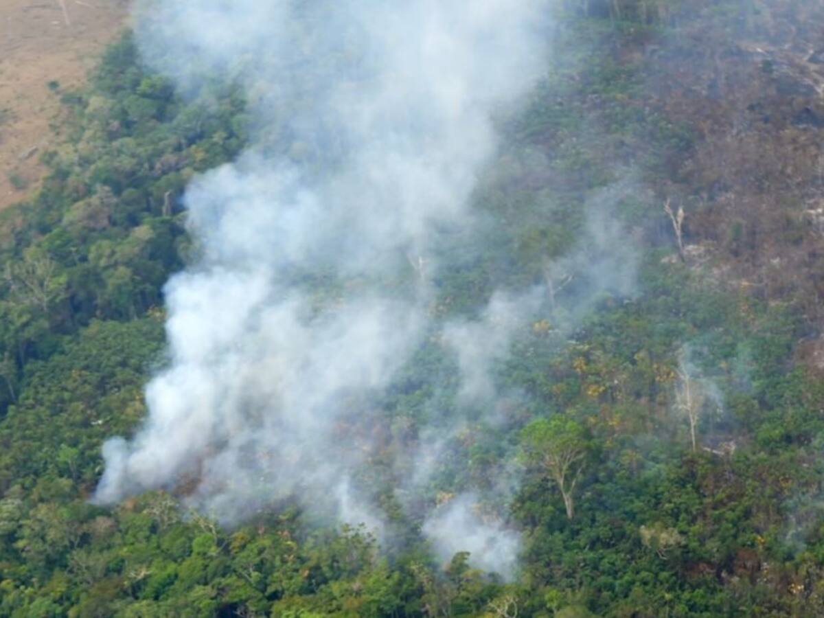 La “metástasis” de la deforestación en el Meta