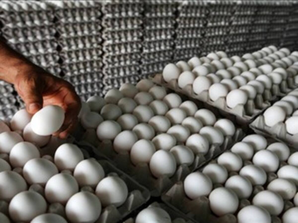 Entre 800.000 y un millón de huevos ingresan de contrabando diariamente al país: Fenavi
