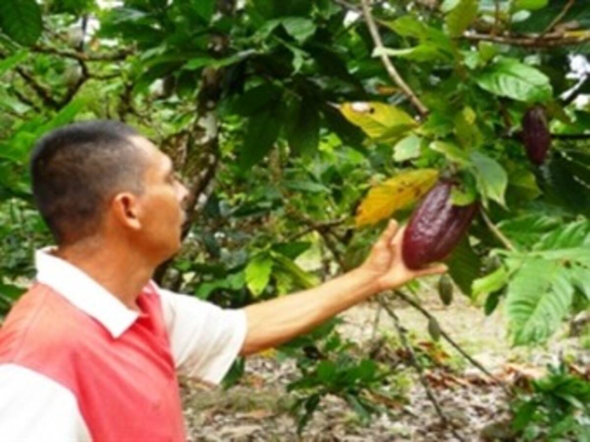 En Risaralda sector agropecuario a la espera de cumplimientos pactados