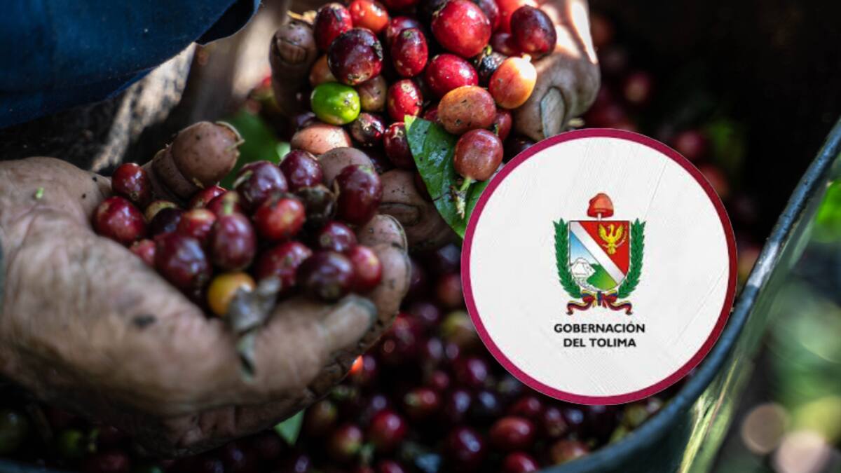 Feria Internacional de Café en Planadas, Tolima, conozca la programación