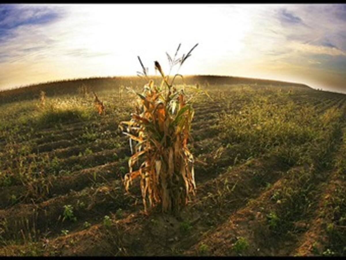 El cambio climático golpeará a la agricultura de países pobres, según experto