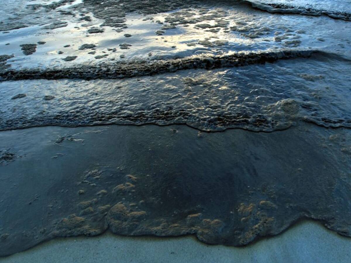 Tras erupción del volcán Tonga el mar de Perú se tiñe de negro por petróleo