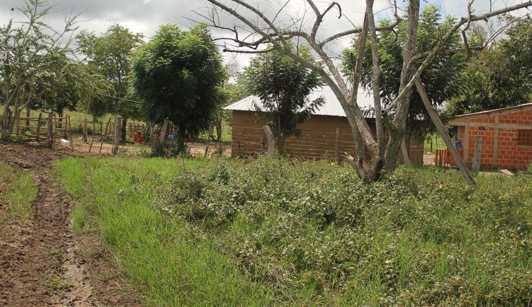 Imagen de referencia