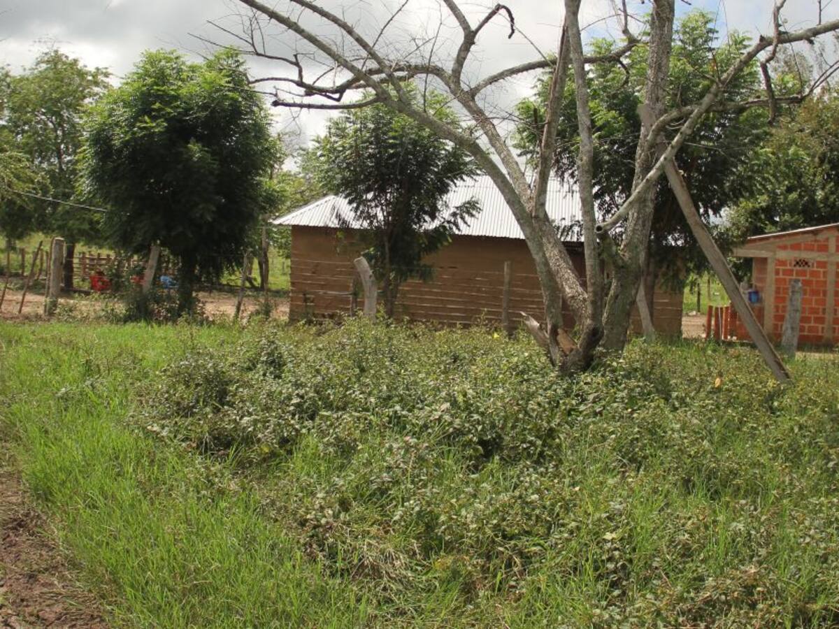 Predio de exalcalde que se hizo pasar por campesino pobre debe ser devuelto