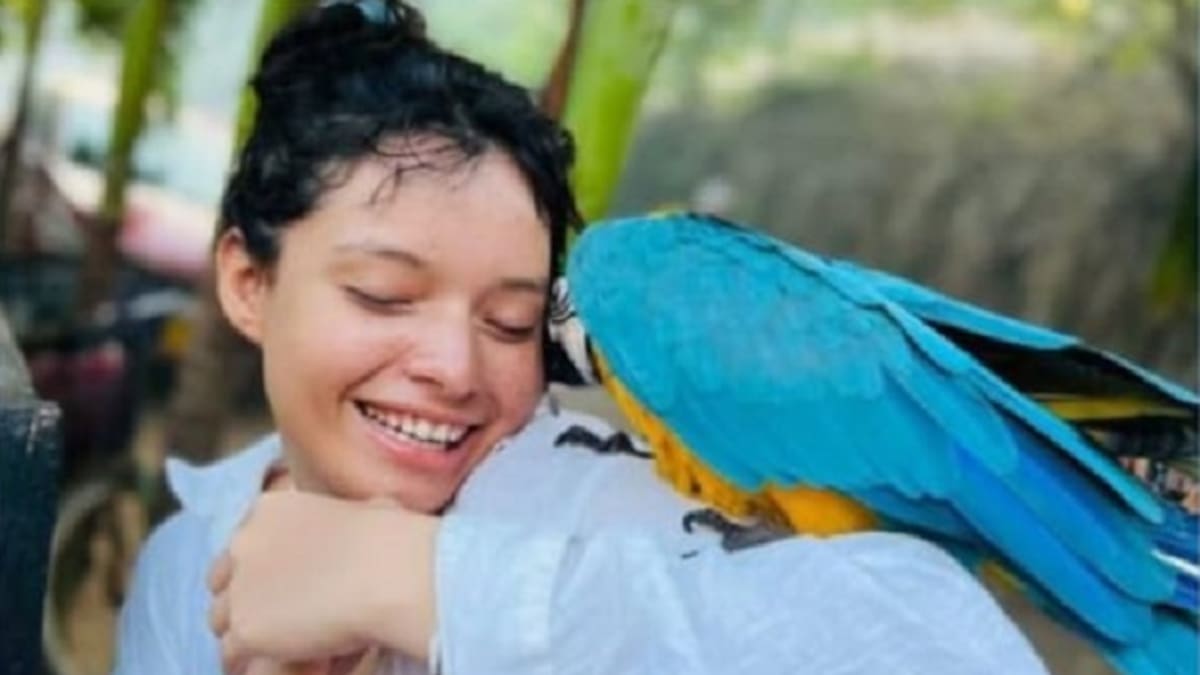 Fiscalía acusa por feminicidio agravado a Álvaro Felipe Rivera por muerte de Valentina Cepeda