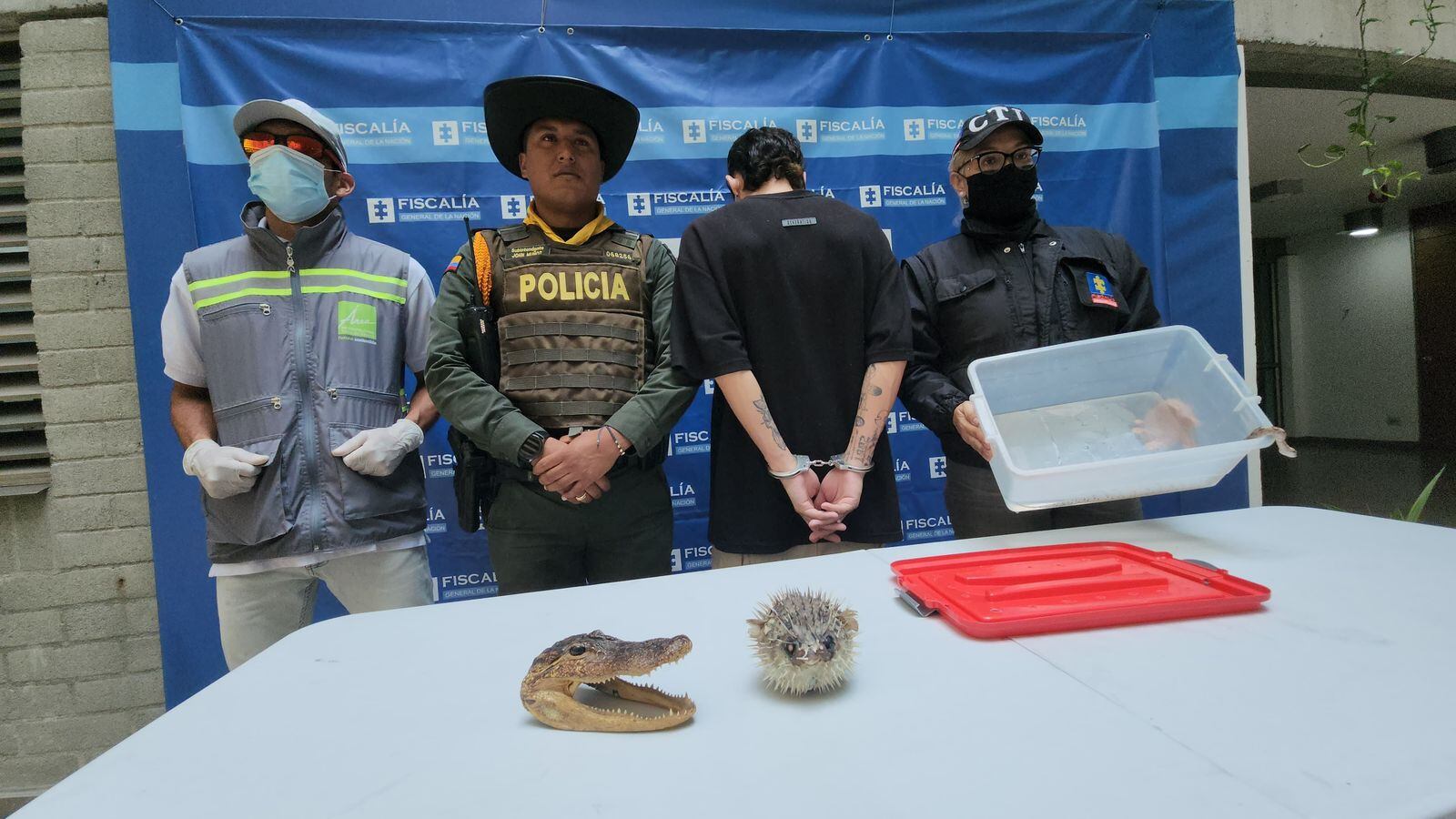 Captura de hombre de 21 años por aprovechamiento ilícito de fauna silvestre. Foto: Policía Nacional