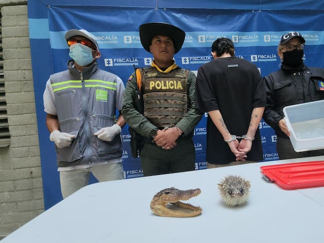 Captura de hombre de 21 años por aprovechamiento ilícito de fauna silvestre. Foto: Policía Nacional