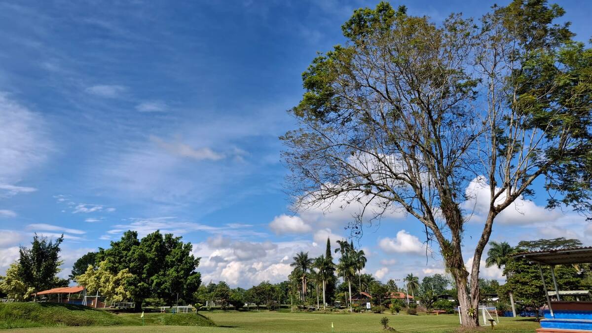 Jueves 31 de julio, las noticias más importantes de Armenia y Quindío