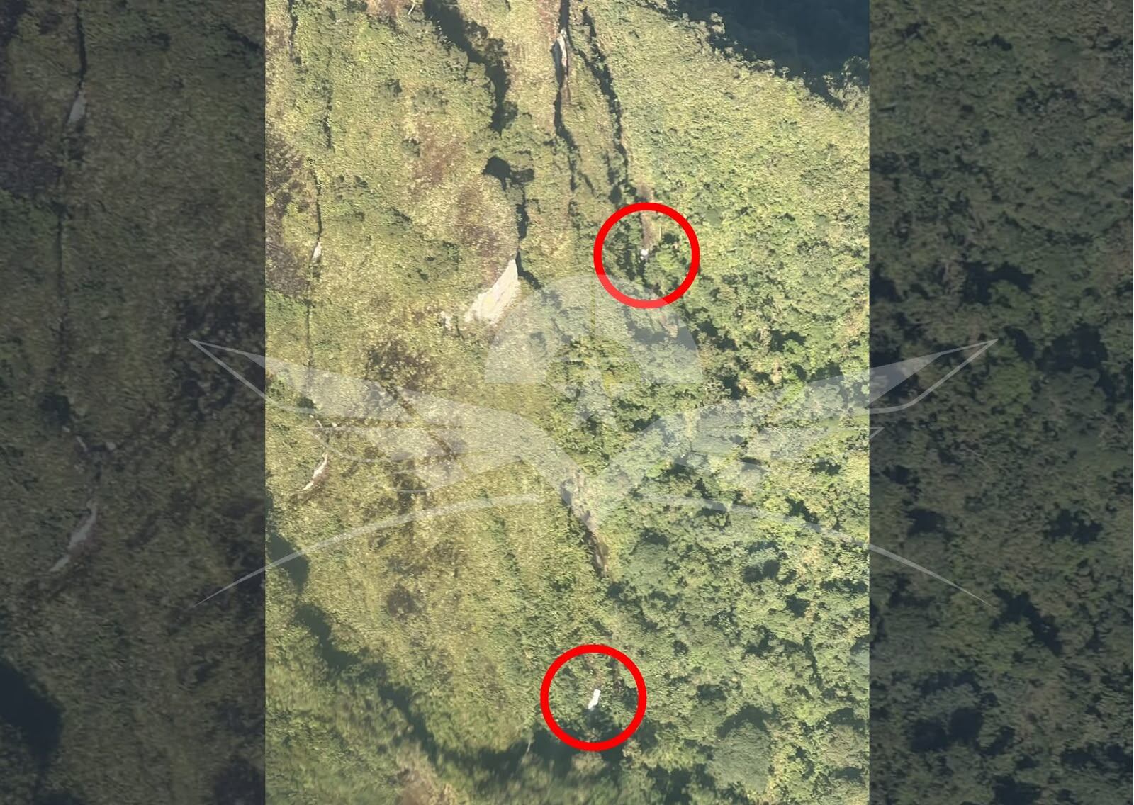 Fuerza Aérea localizó indicios de aeronave desaparecida cerca del Parque Natural Tatamá. Foto: Fuerza Aérea Colombiana