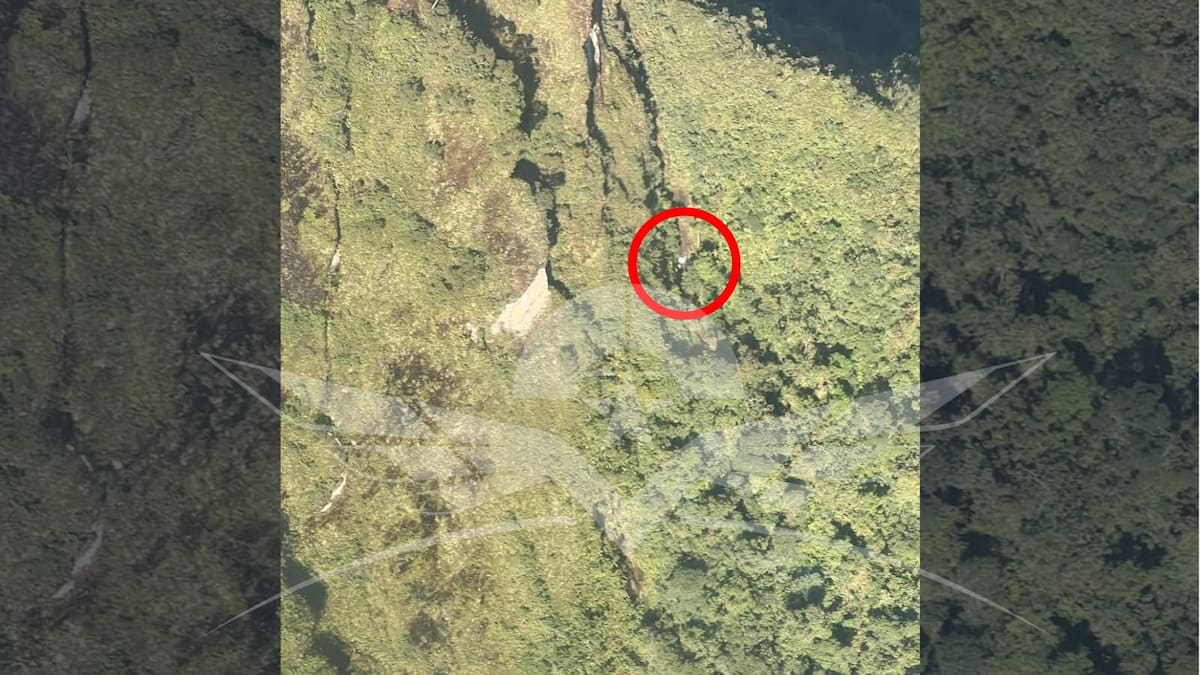 Fuerza Aérea localizó indicios de aeronave desaparecida cerca del Parque Natural Tatamá
