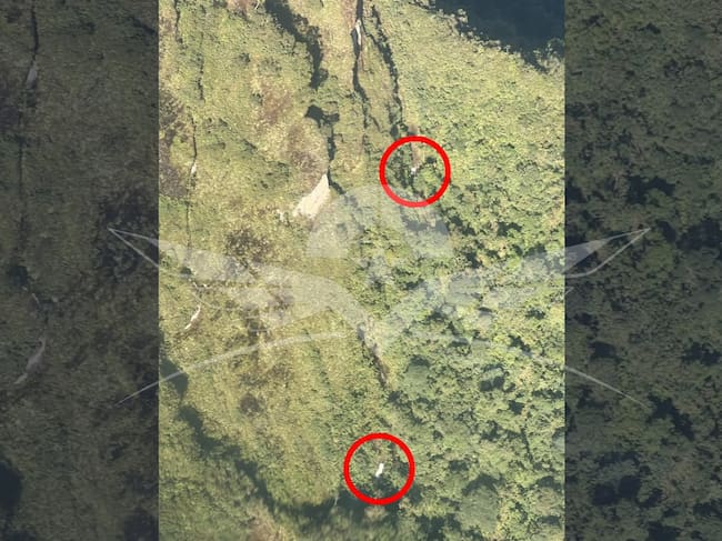 Fuerza Aérea localizó indicios de aeronave desaparecida cerca del Parque Natural Tatamá. Foto: Fuerza Aérea Colombiana