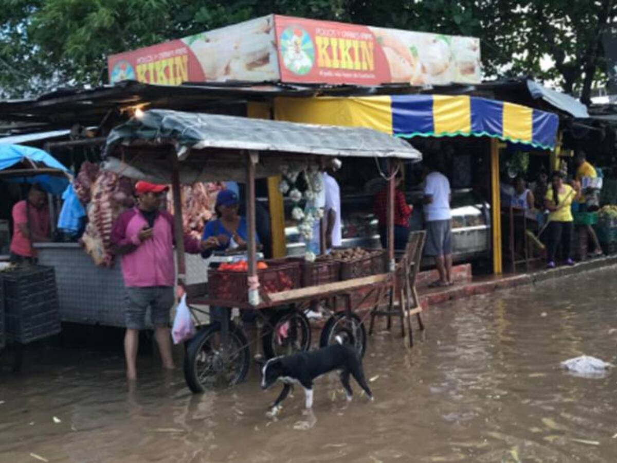 Declaran calamidad pública en municipios afectados por lluvias en Magdalena