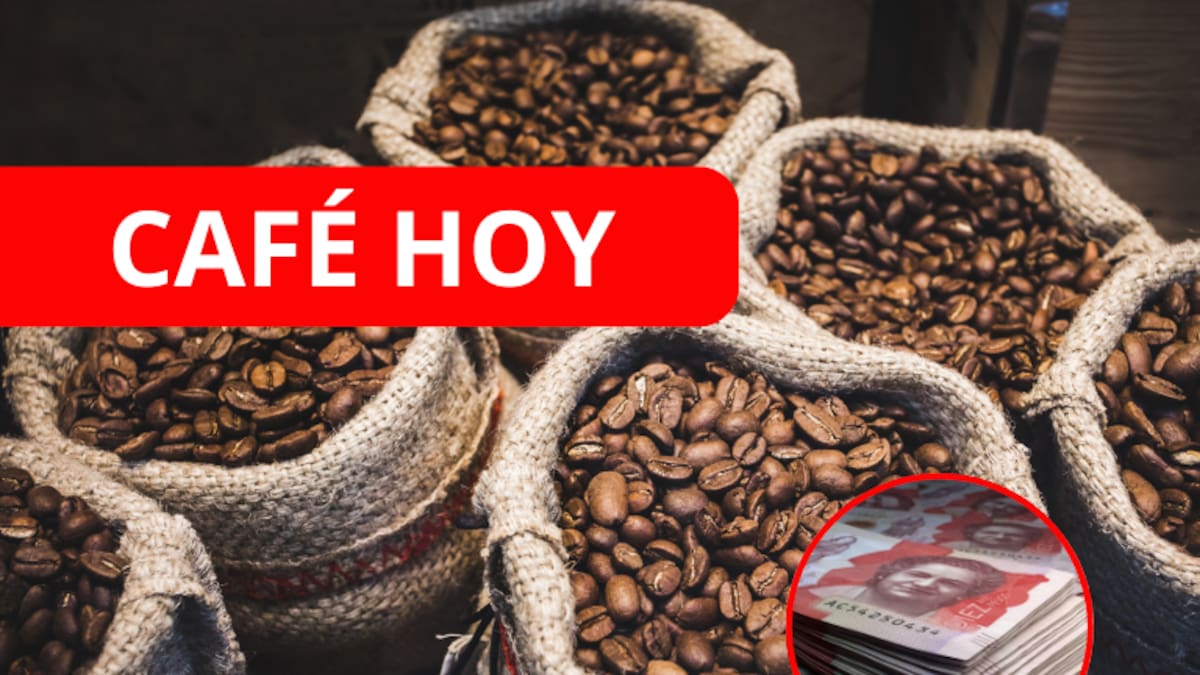 ¿Sigue subiendo? Precio café HOY 2 septiembre: valor carga, Federación Nacional Cafeteros