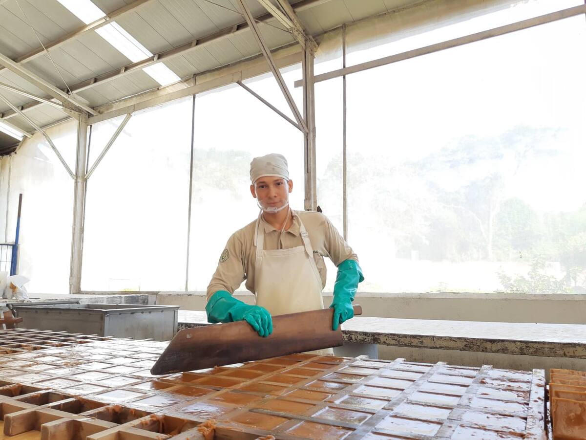 La Federación Nacional de Productores de Panela lanza canal oficial del sector