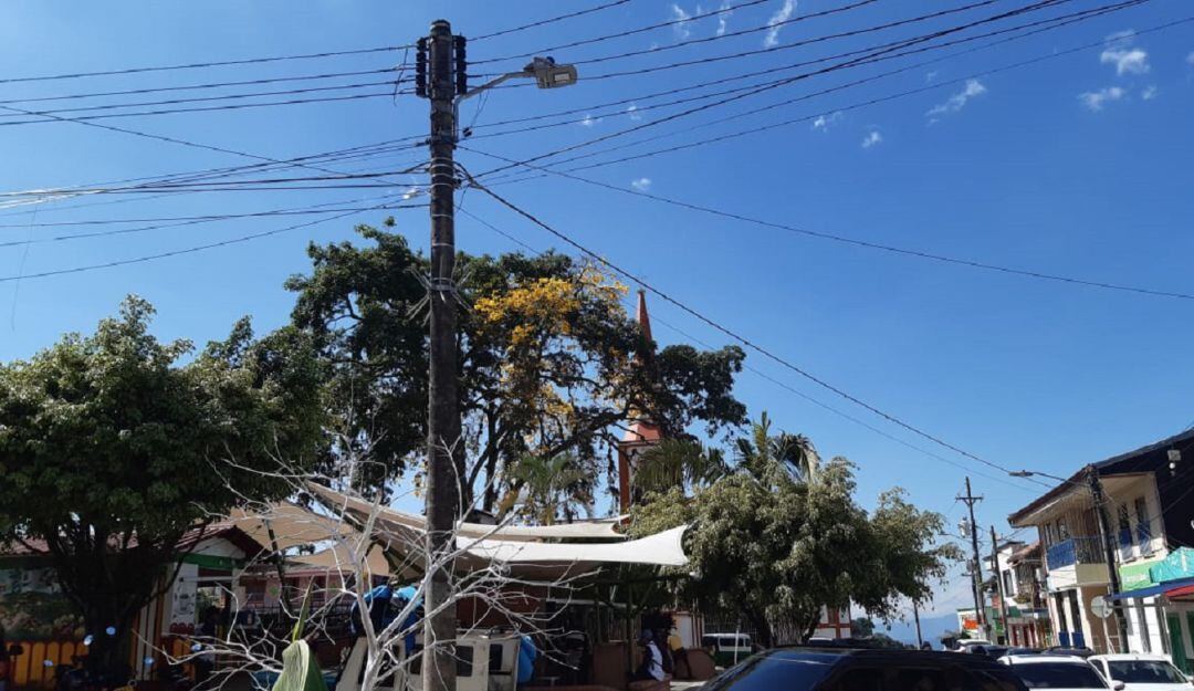 Días de sol y de guayacanes florecidos en el departamento del Quindío