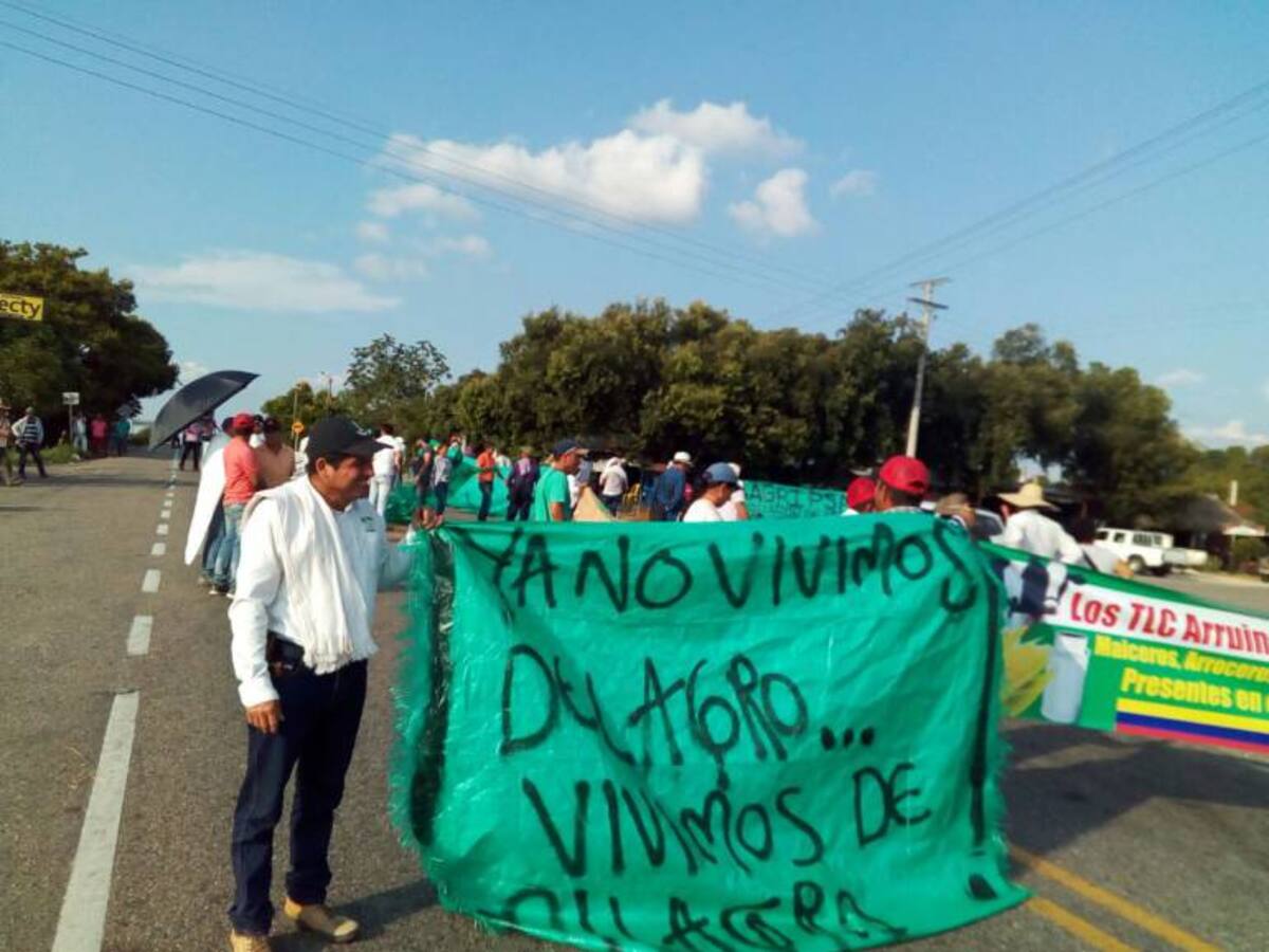 En la Gómez, otra vez concentración de arroceros