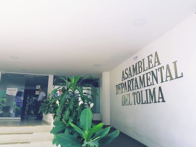Acceso a la Asamblea Departamental del Tolima