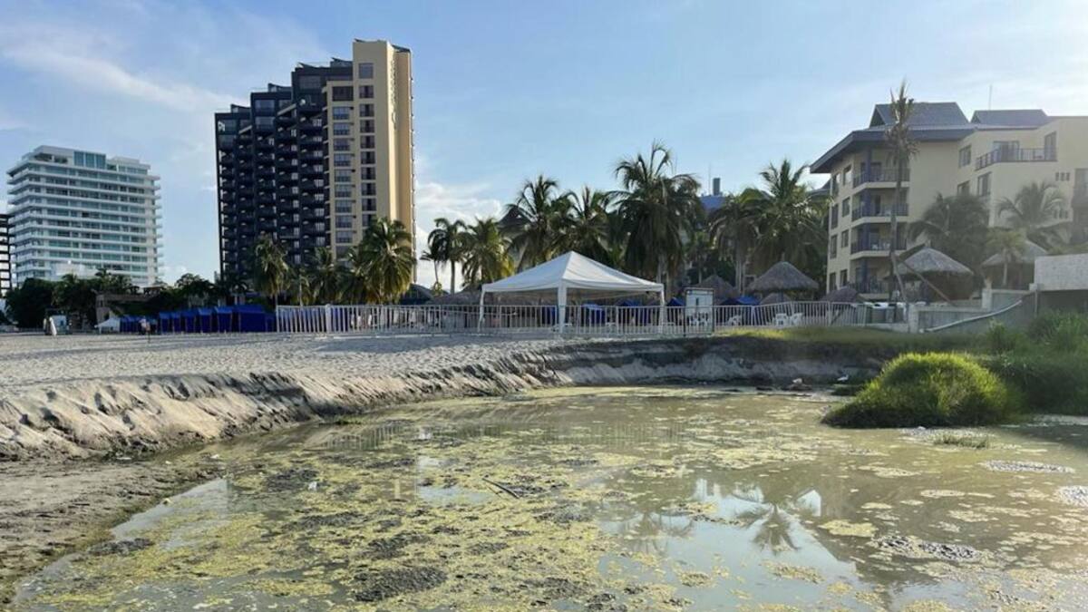 ¿Contaminación odorífera descalifica reconocimiento a playa 'Bandera Azul'?