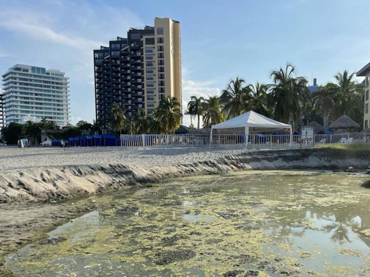 ¿Contaminación odorífera descalifica reconocimiento a playa 'Bandera Azul'?