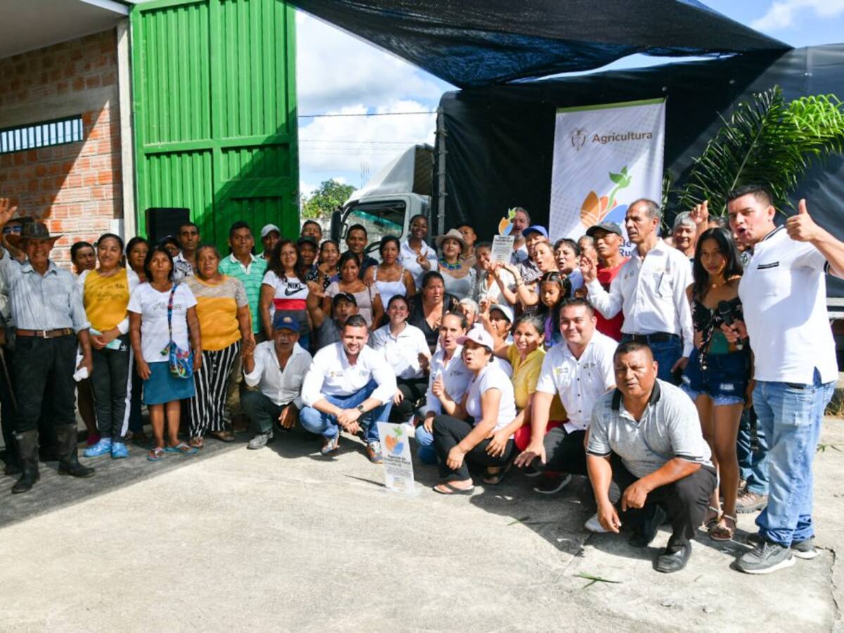 Campesinos en el Putumayo reemplazaron la coca por el chontaduro