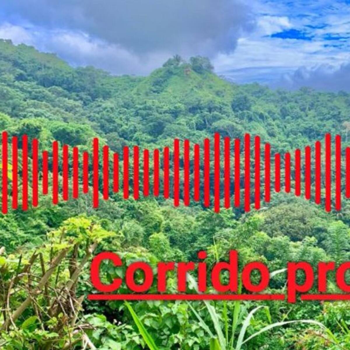 Aparece un corrido donde nombran a Pitaliso, supuesto capo de la Sierra